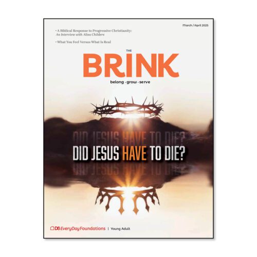 Brink Devotional Study Guide