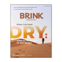 Brink Devotional Study Guide